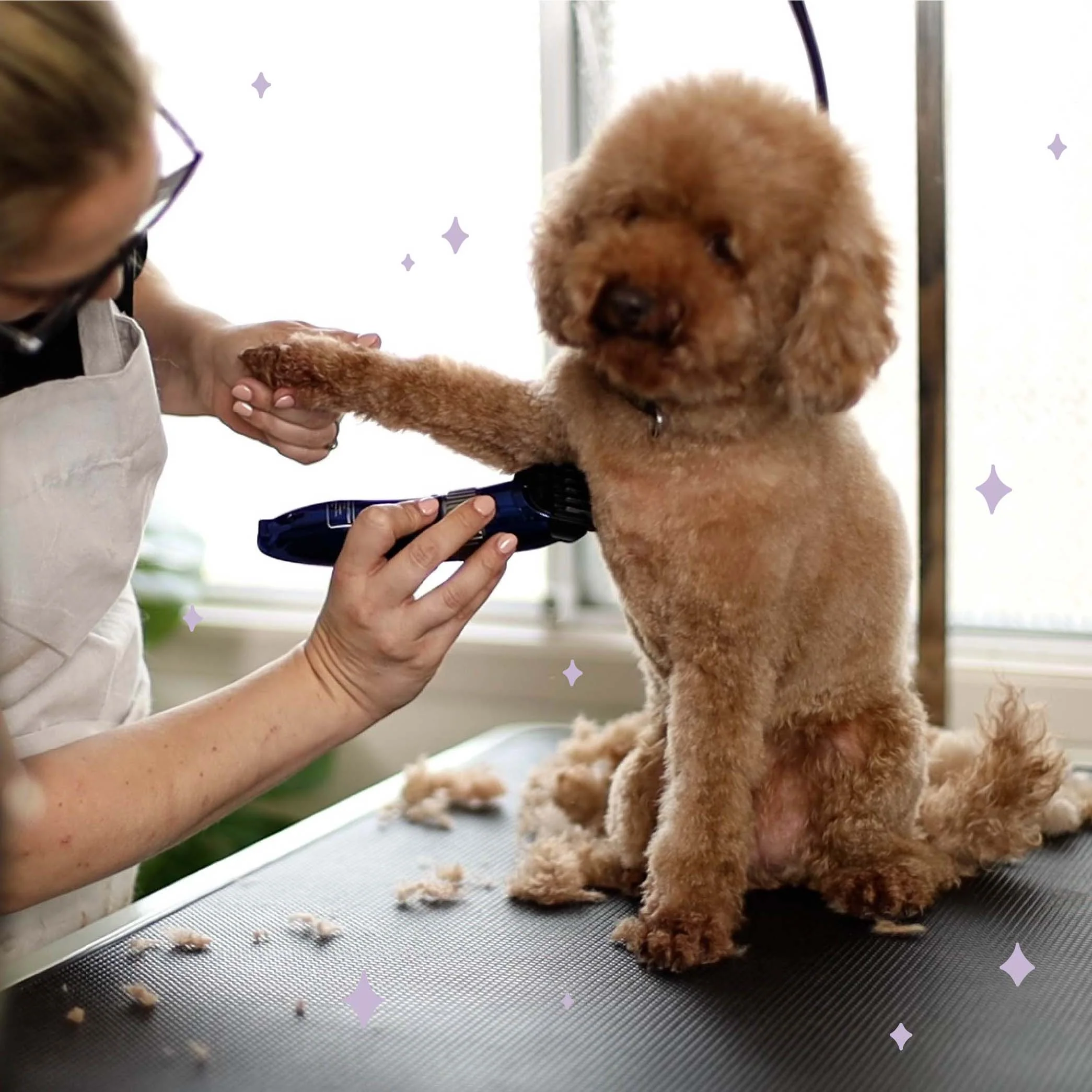 Deluxe Waterproof Dog Clipper - Image 7