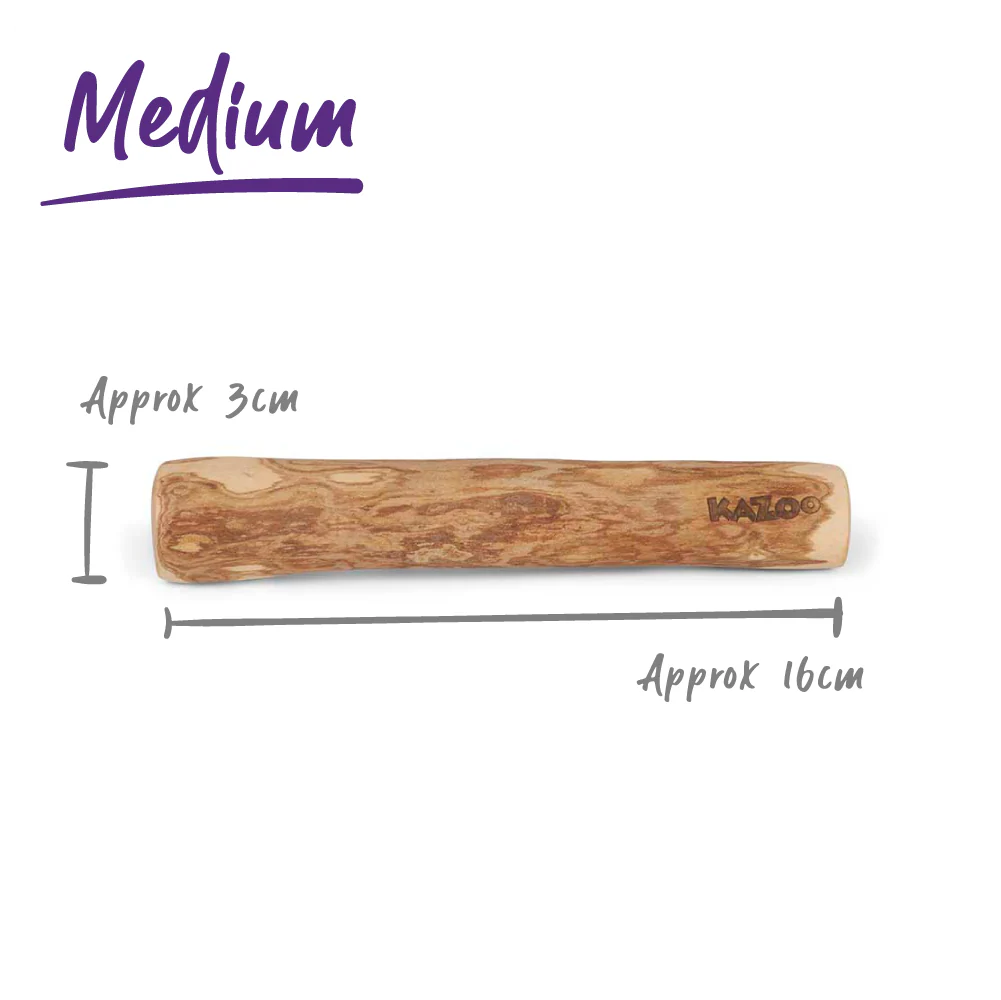 Coffee Wood Stick - Dog Dental Chew - Image 10