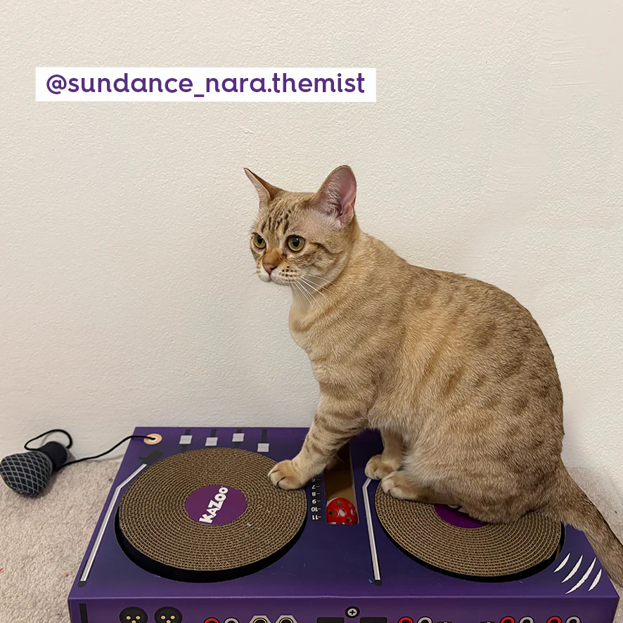 DJ Scratchez Cardboard Cat Scratcher - Image 4