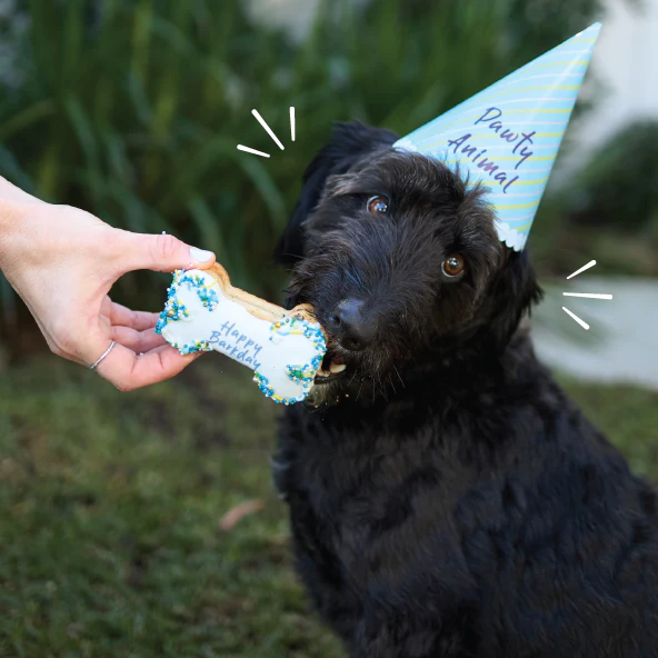 Dog Birthday Bone Cake - Blue - Image 2