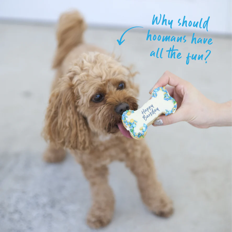 Dog Birthday Bone Cake - Blue - Image 6