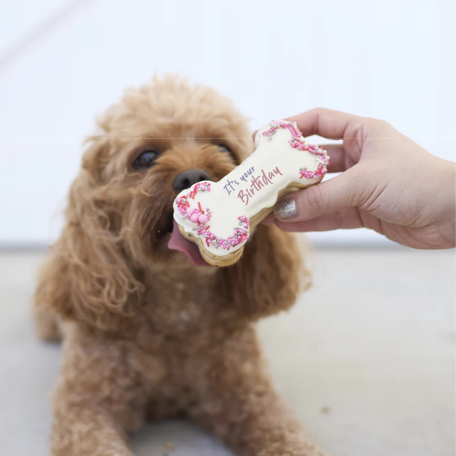Dog Birthday Bone Cake - Pink - Image 5