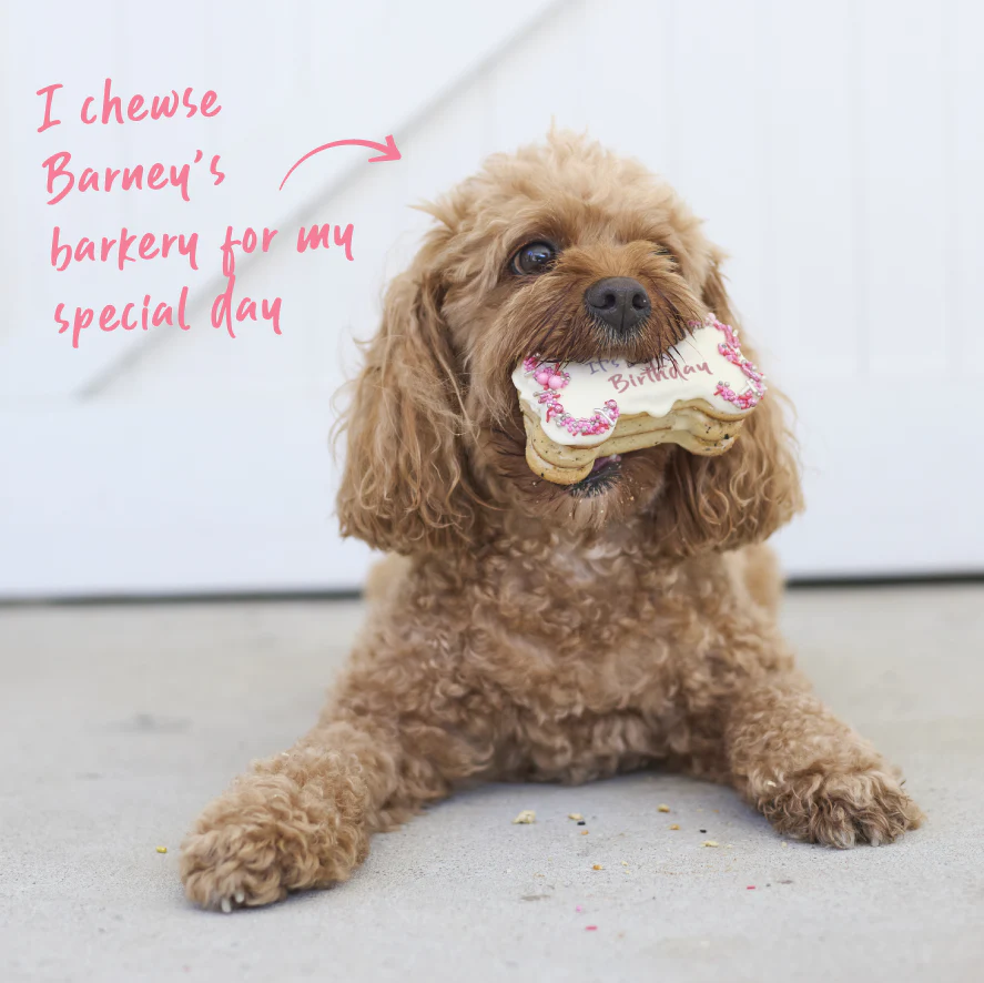 Dog Birthday Bone Cake - Pink - Image 6