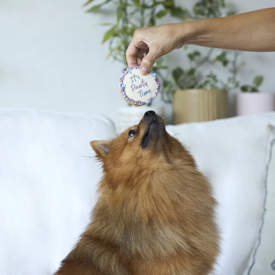 Dog Birthday Cake - Round - Blue - Image 5