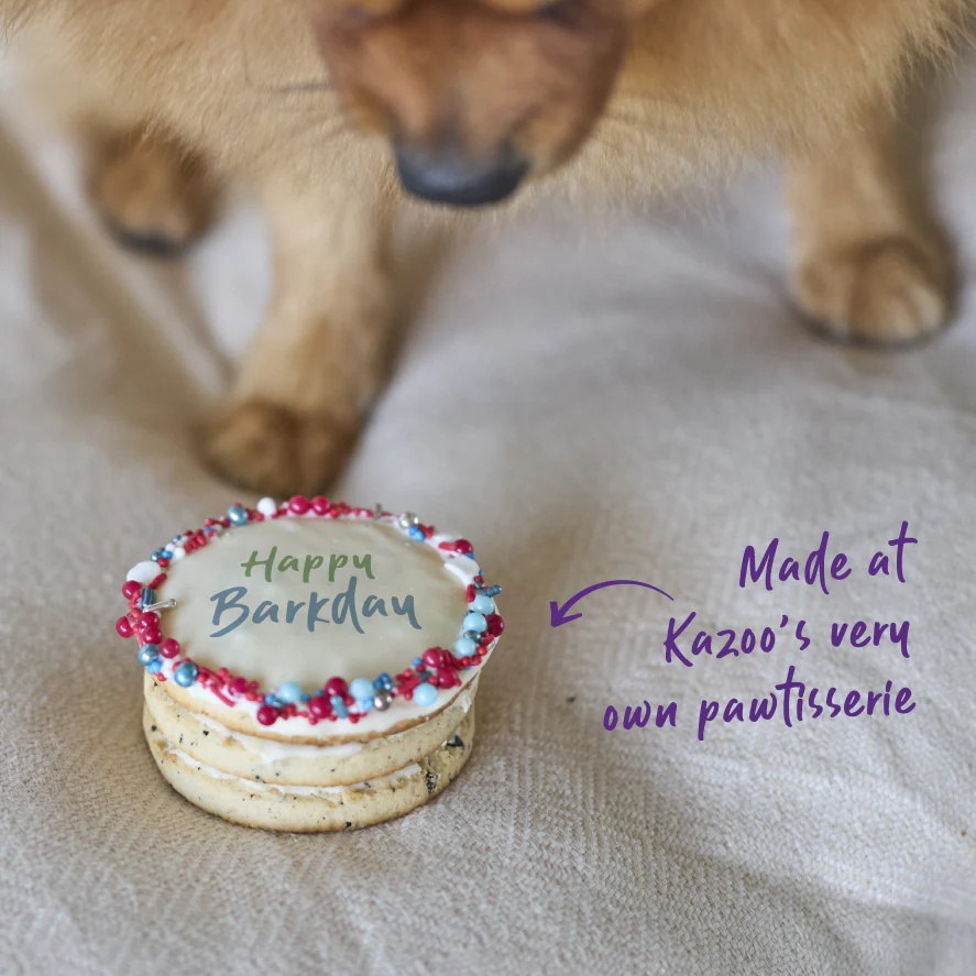 Dog Birthday Cake - Round - Red - Image 5