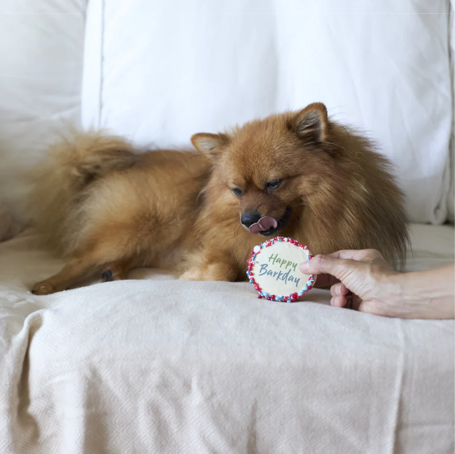 Dog Birthday Cake - Round - Red - Image 6