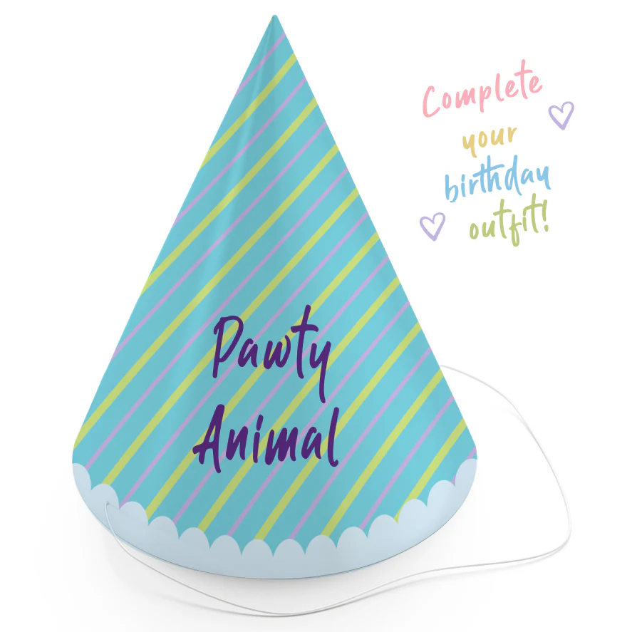 Dog Birthday Treats Party Pack - Blue - Image 7