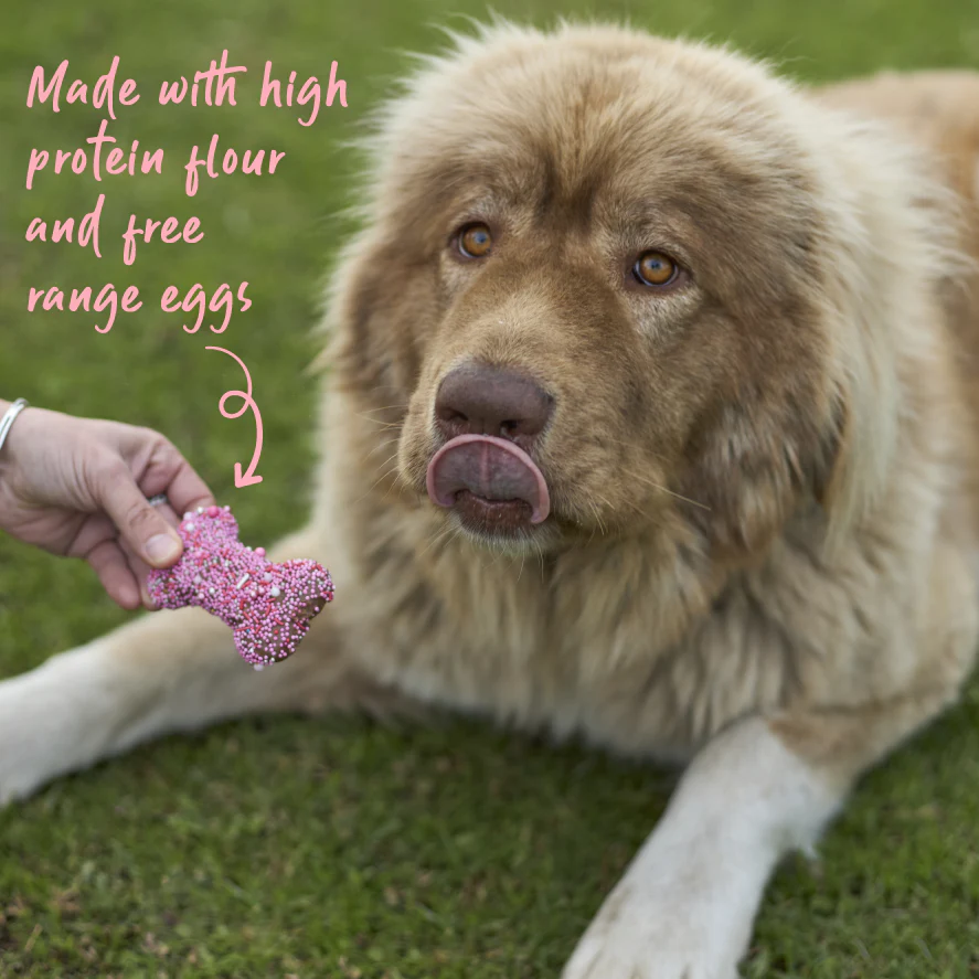 Dog Bone Biscuit - Pink - Image 7