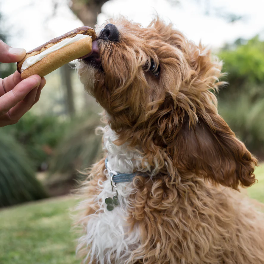 Dog Carob Eclair - Image 2