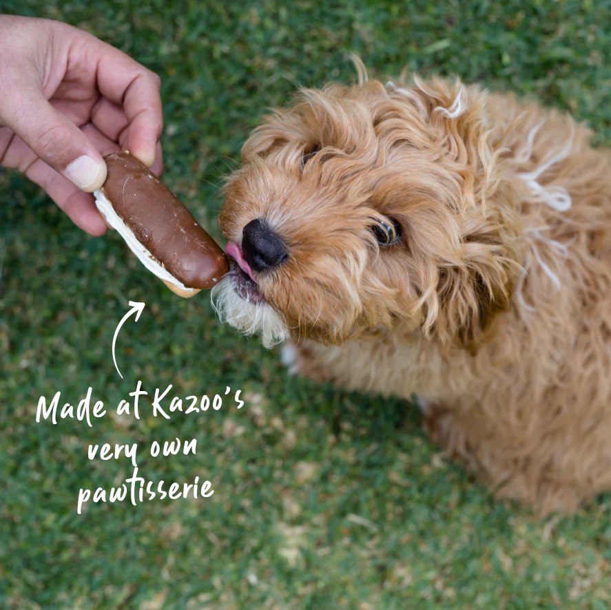 Dog Carob Eclair - Image 5