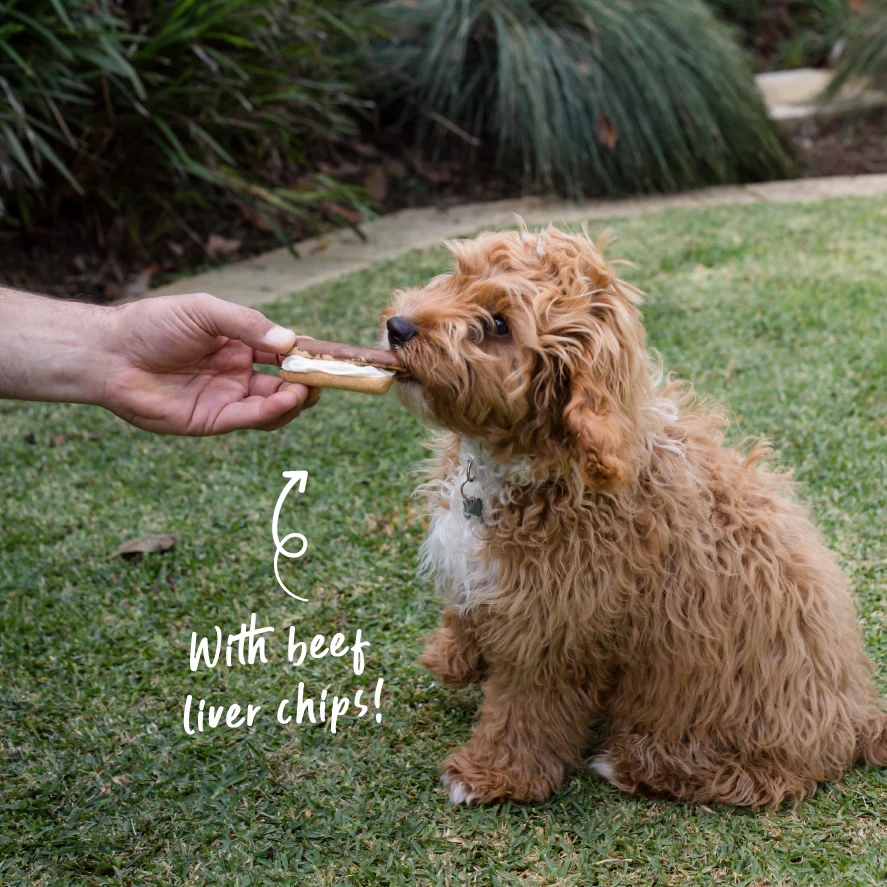 Dog Carob Eclair - Image 6