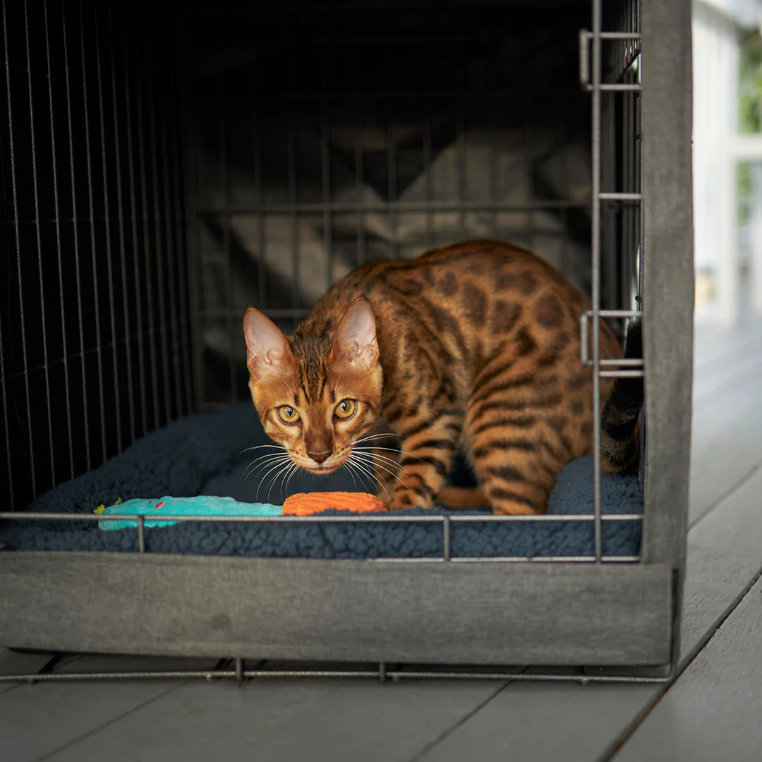 Dog Crate Cover - Image 11