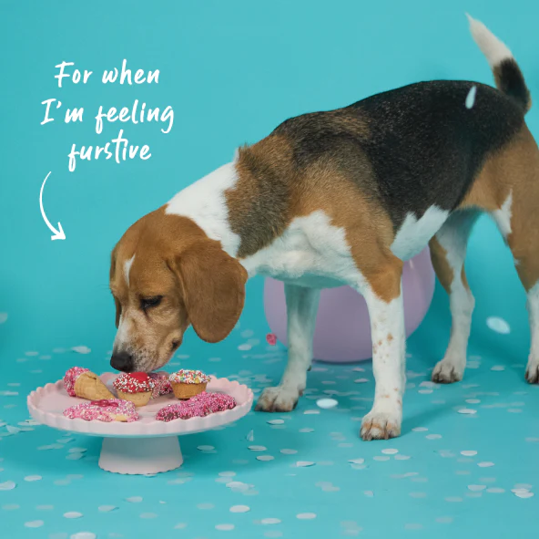 Dog Cupcake Duo - Hearts - Image 5