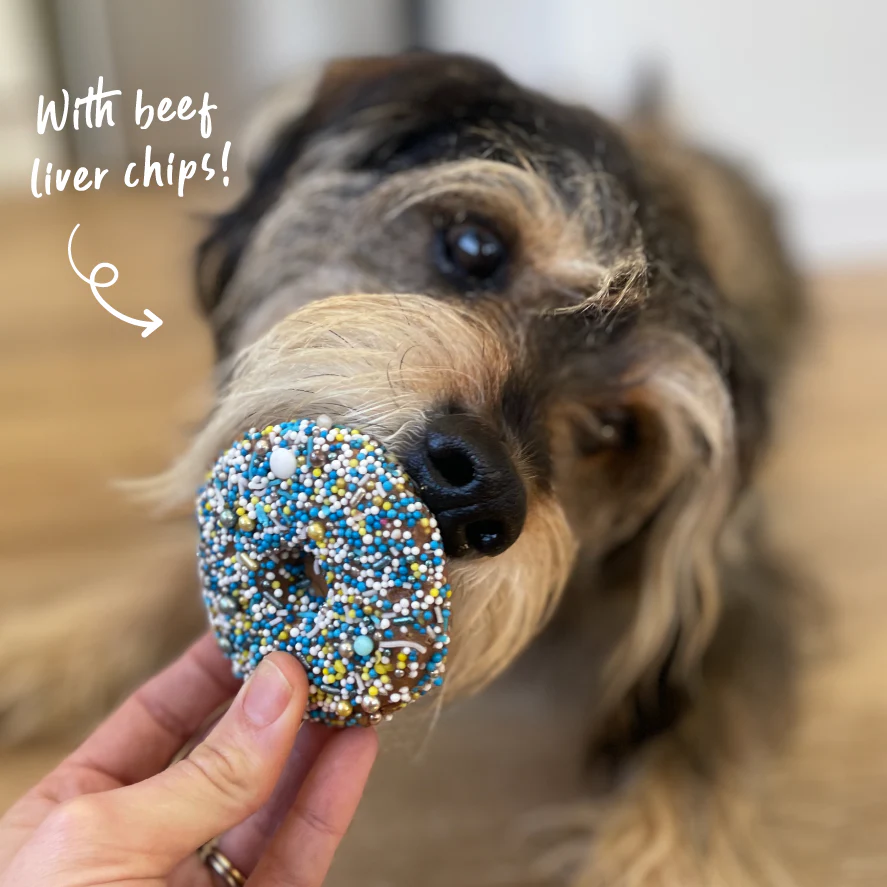 Dog Donut Biscuit - Blue - Image 6