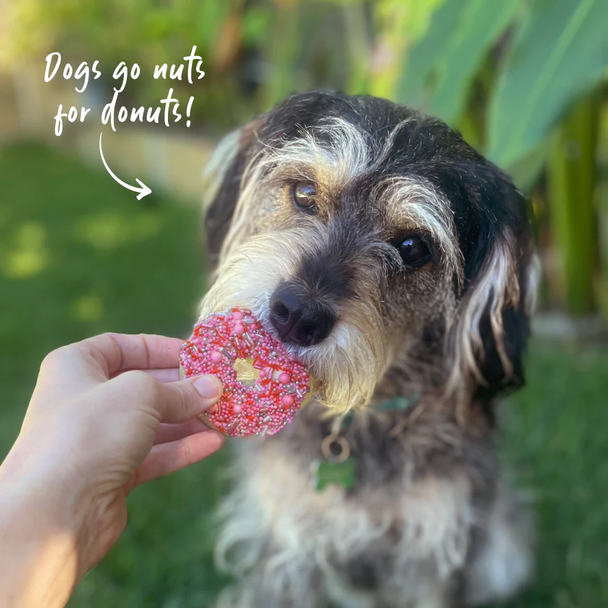 Dog Donut Biscuit - Pink - Image 7