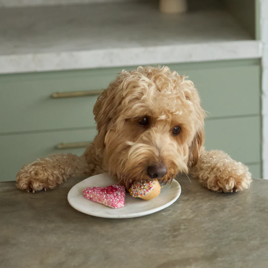 Dog Heart Cookie - Yoghurt - Image 2