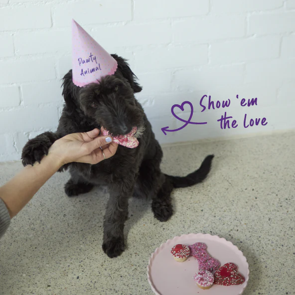 Dog Heart Cookie - Yoghurt - Image 5