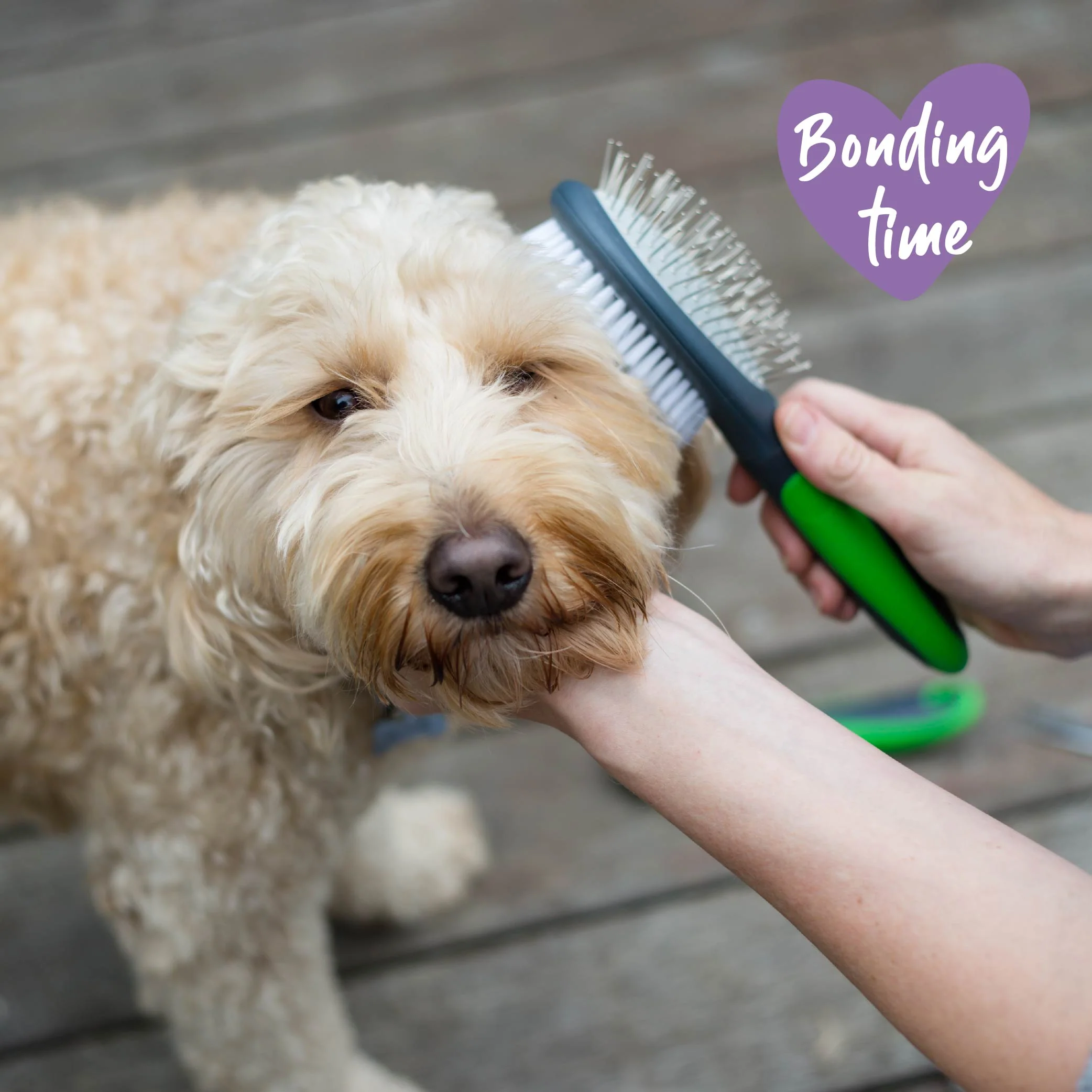 Double-Sided Brush - Image 4
