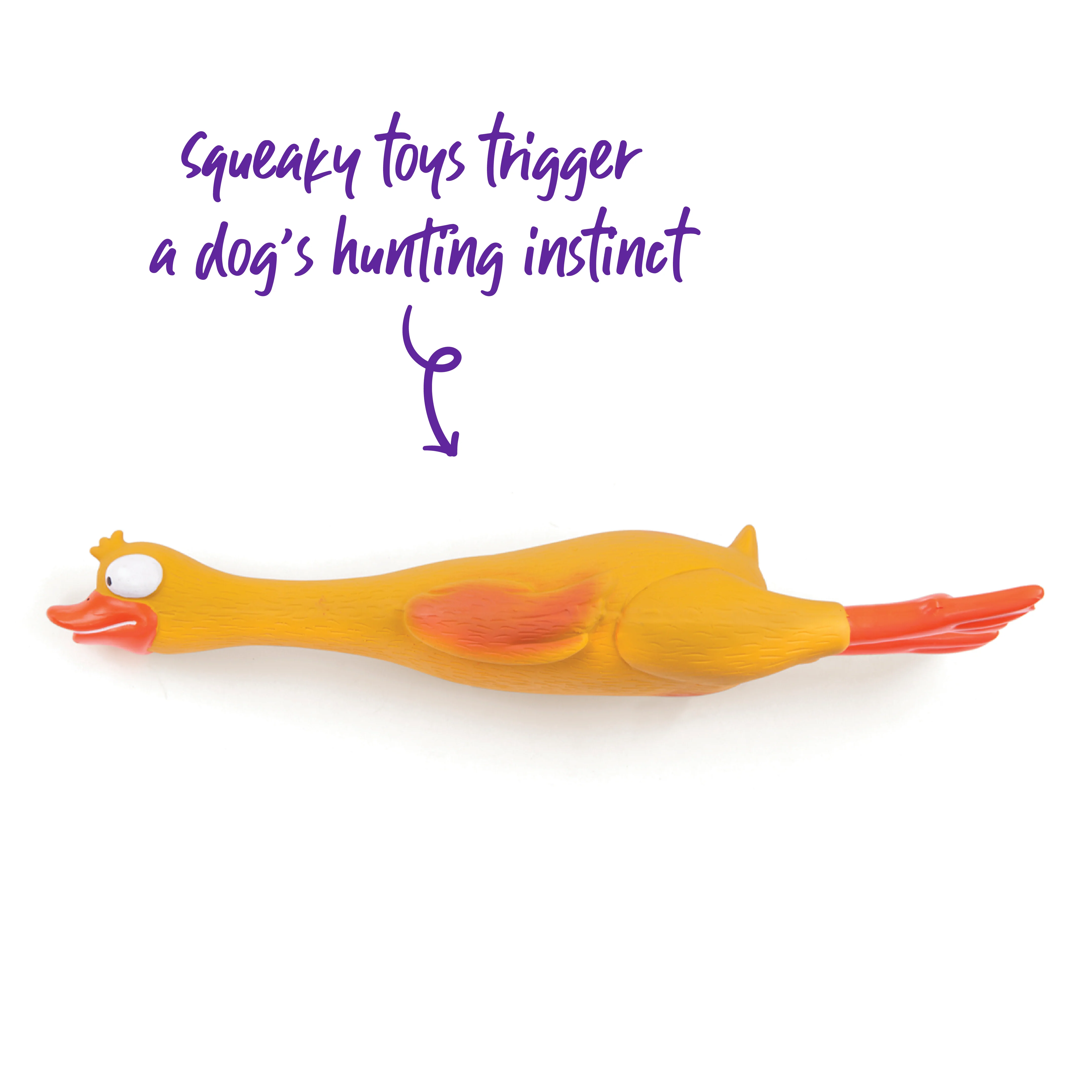 Dozy Duck Squeaky Dog Toy - Image 6