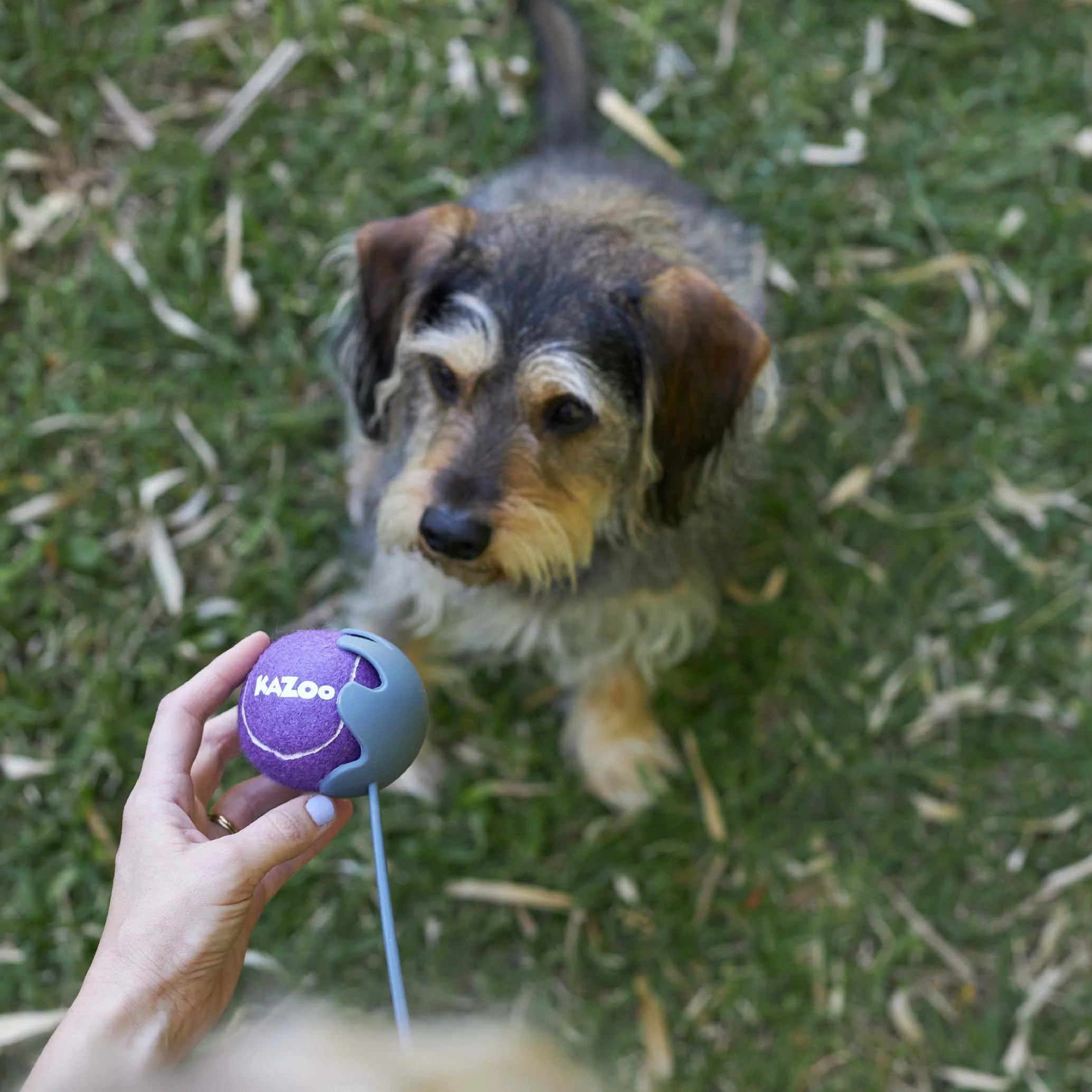 Eco-Friendly Ball Thrower Dog Toy - Image 7