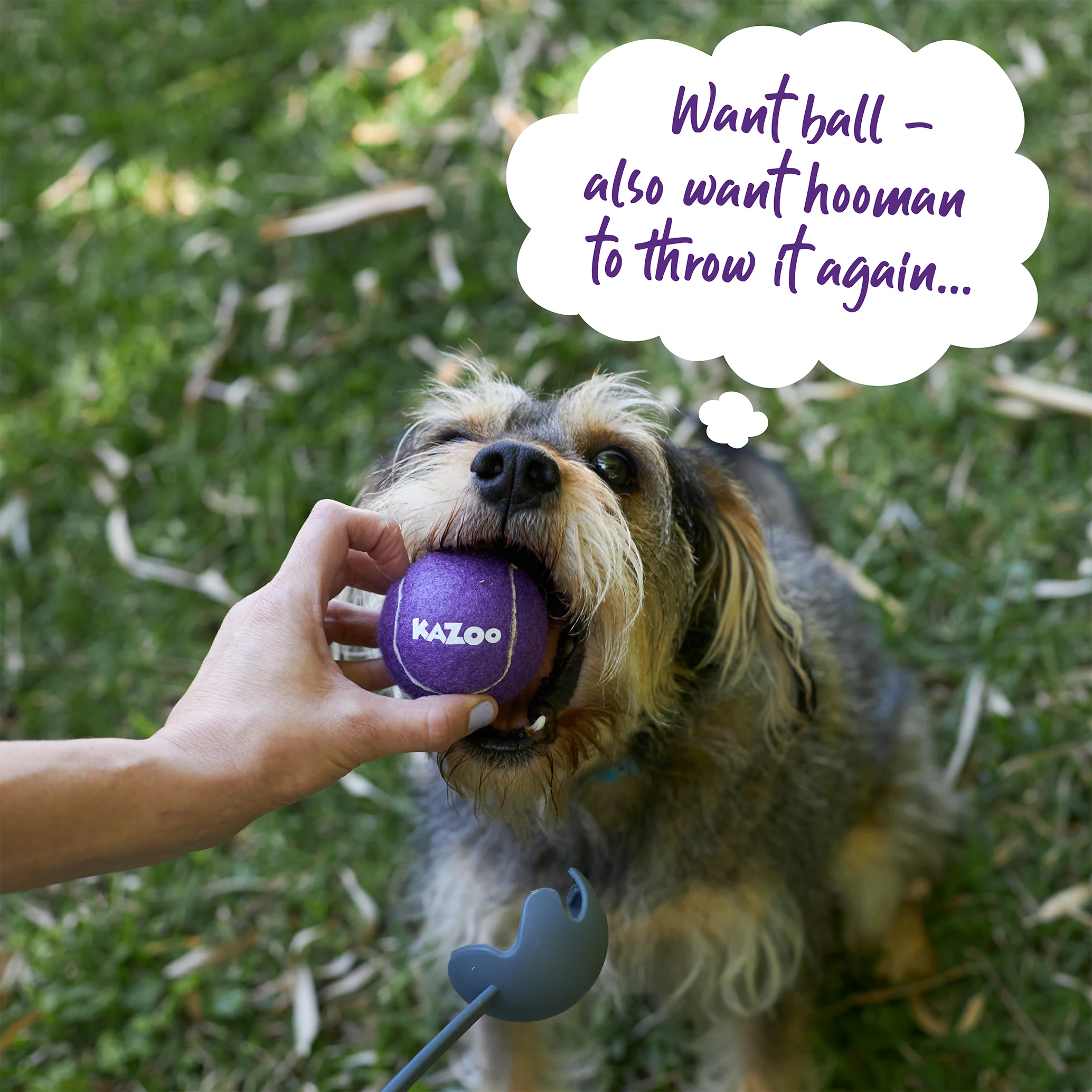 Eco-Friendly Ball Thrower Dog Toy - Image 9
