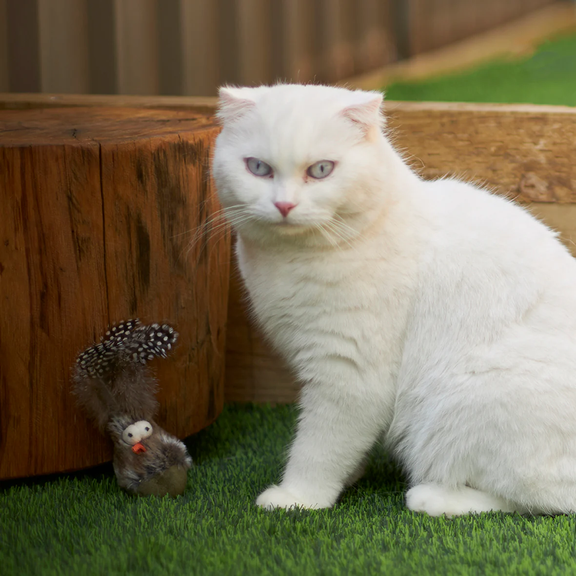 Eco-Friendly Wobble Bird cat toy with recycled materials - Image 6
