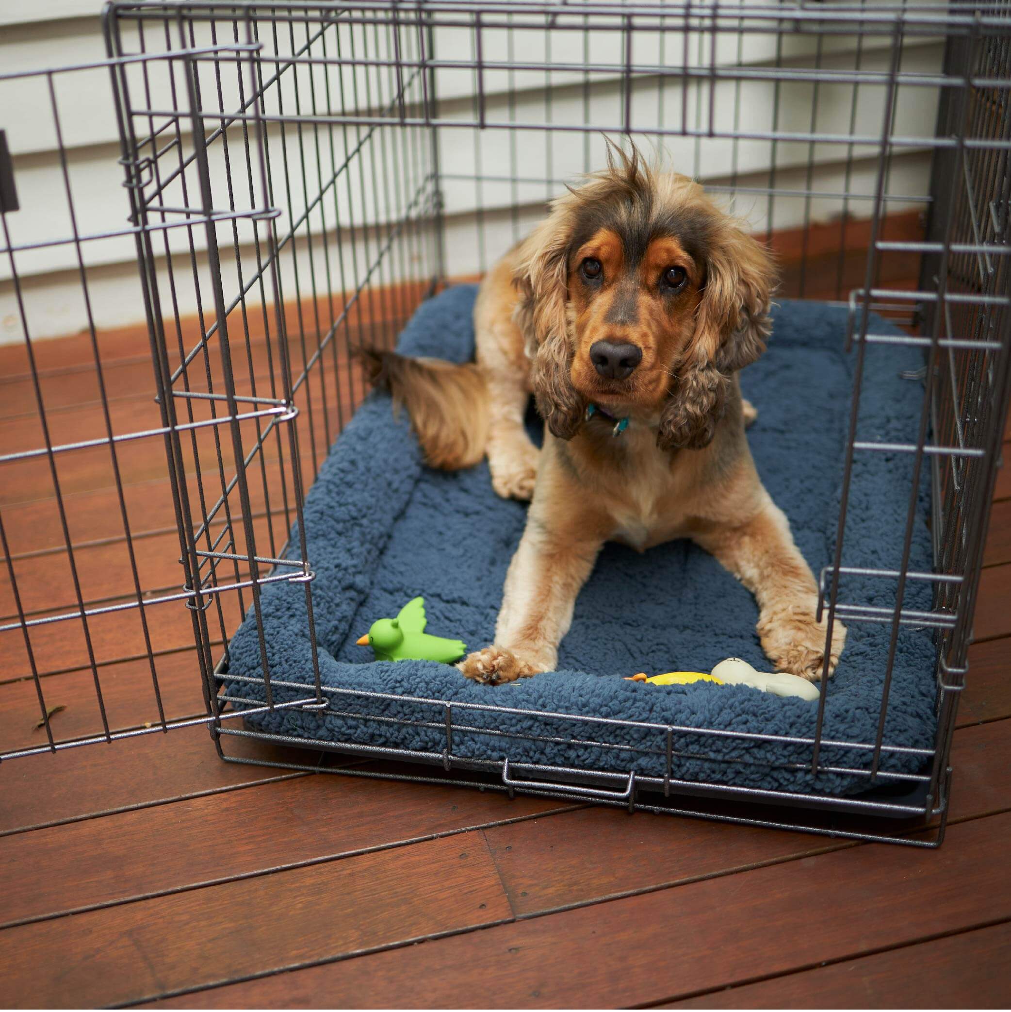 Everyday Dog Crate - Image 12