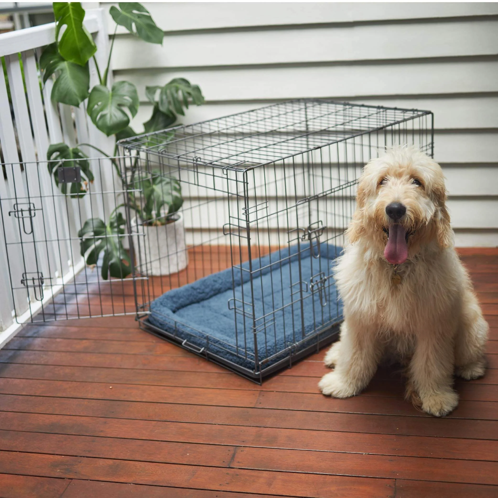 Everyday Dog Crate - Image 17
