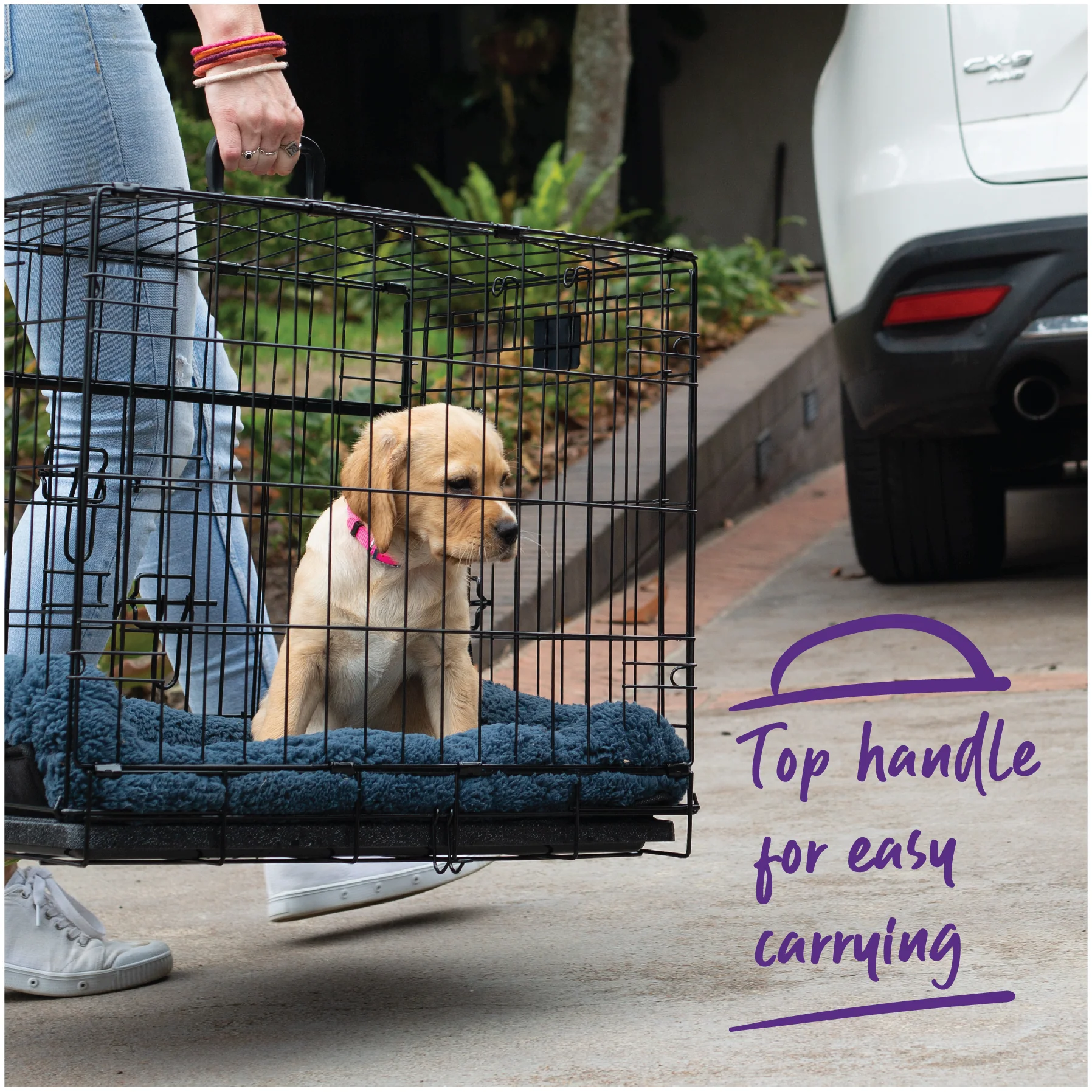 Everyday Dog Crate - Image 3