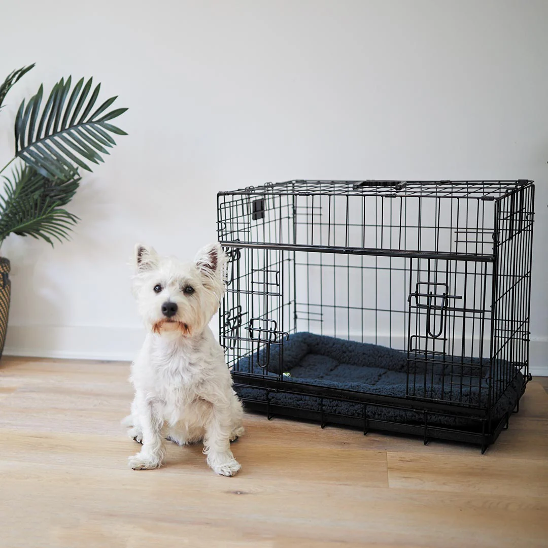 Everyday Dog Crate - Image 4