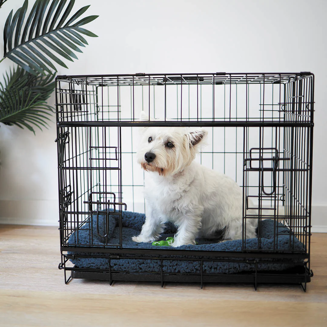 Everyday Dog Crate - Image 5
