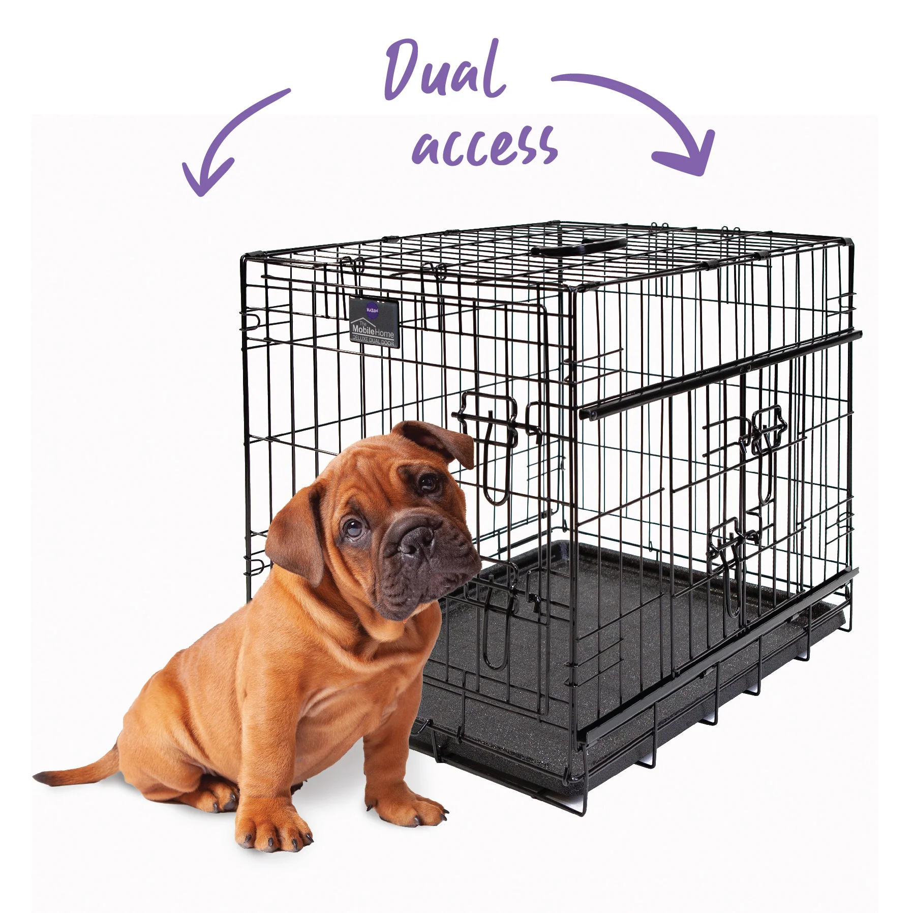Everyday Dog Crate - Image 6
