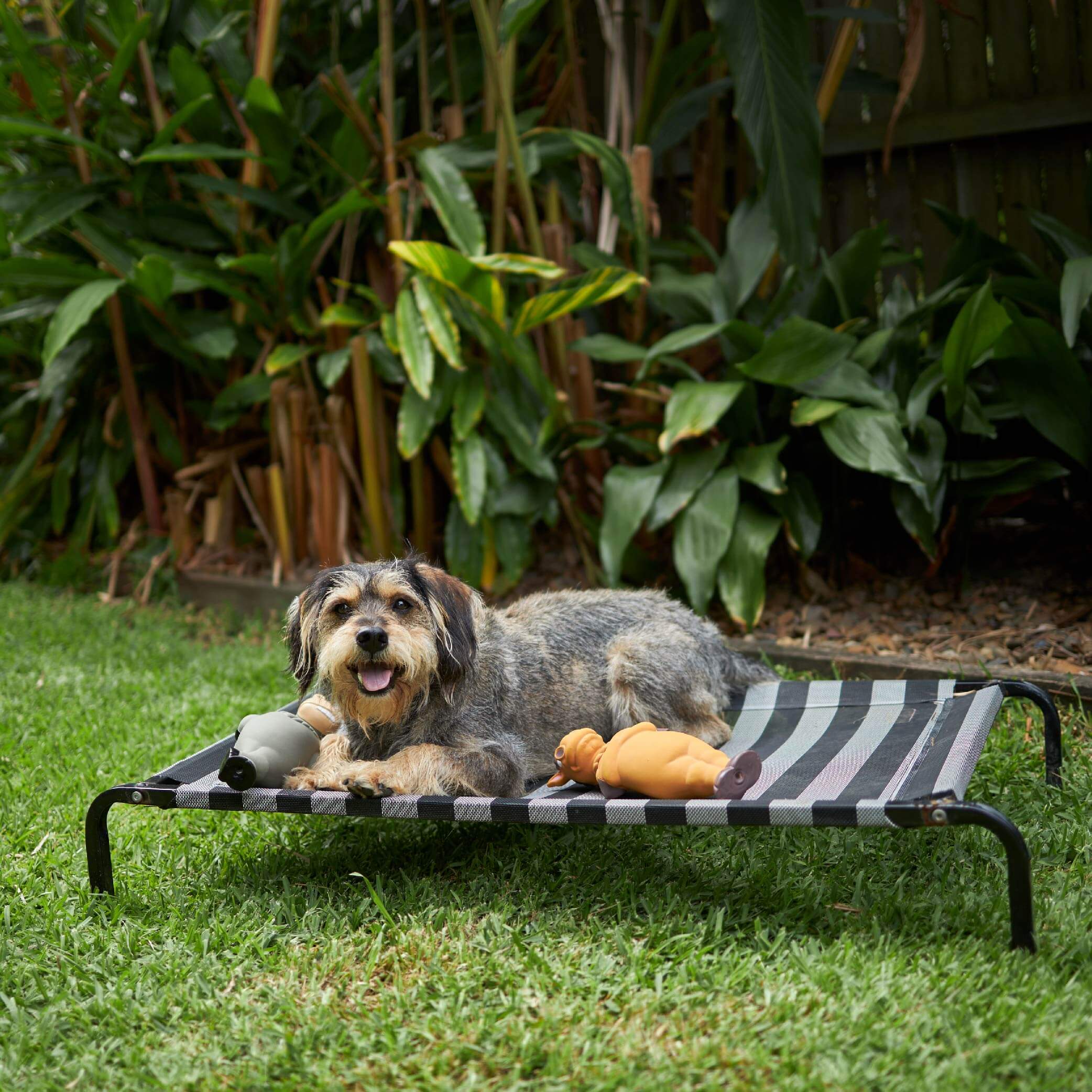 Everyday Outdoor Dog Bed - Black & White - Image 15