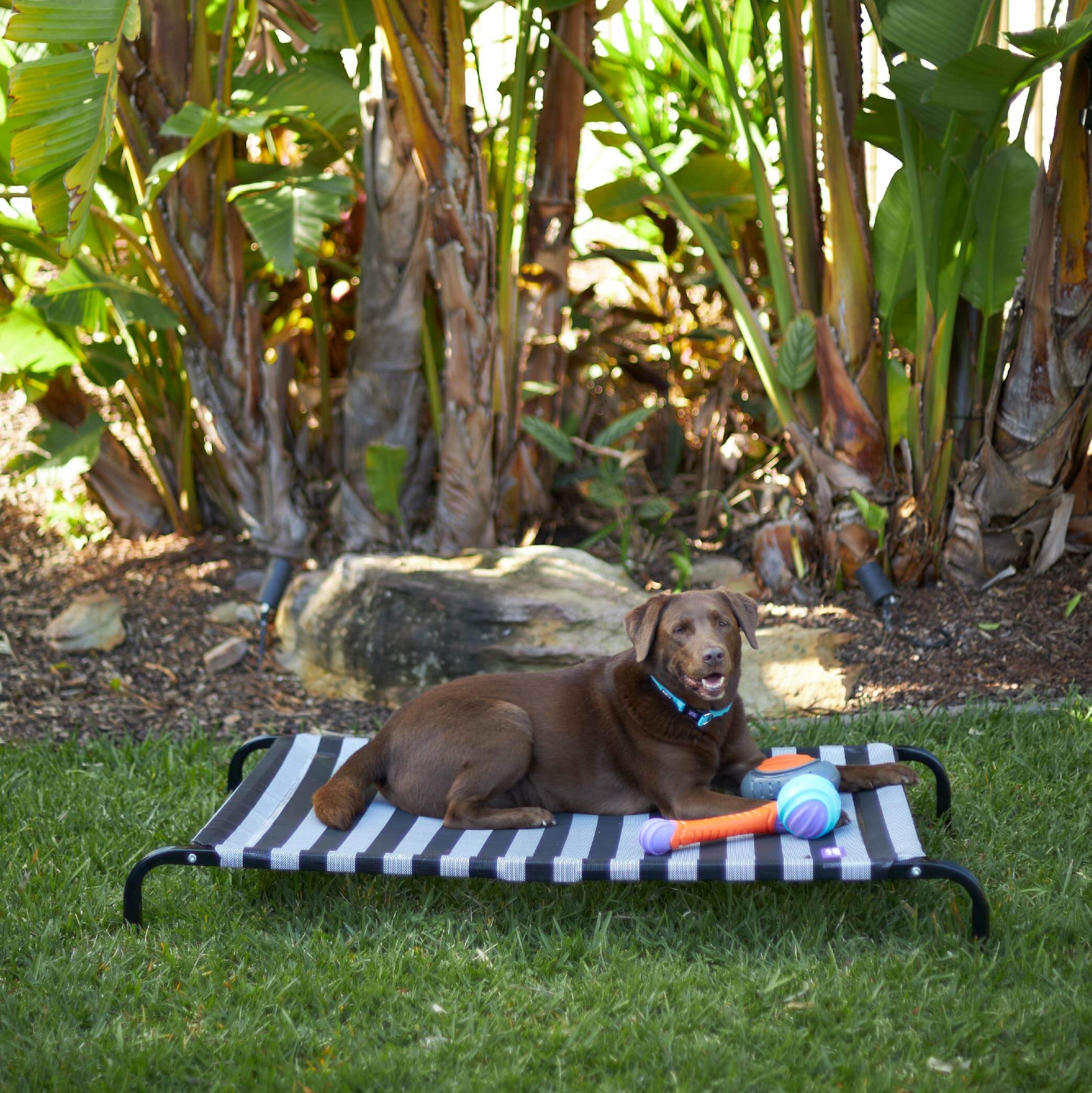 Everyday Outdoor Dog Bed - Black & White - Image 8