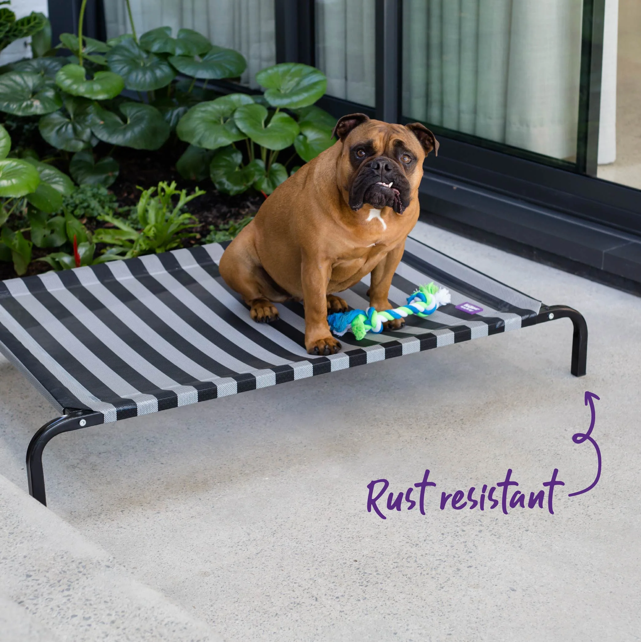 Everyday Outdoor Dog Bed - Black & White - Image 9