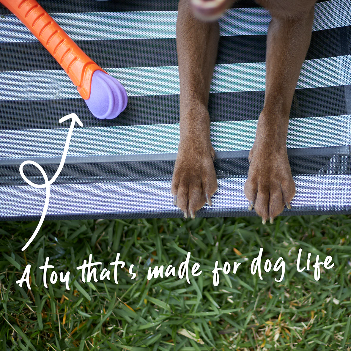Extreme Play Dog Chew Stick - Large - Image 3