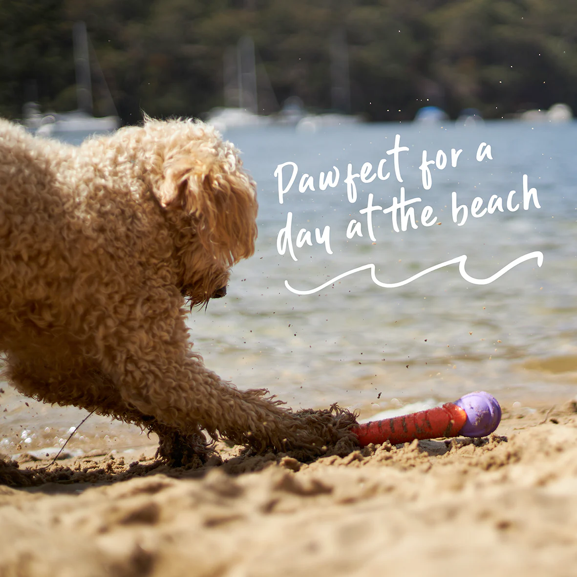 Extreme Play Dog Chew Stick - Large - Image 5