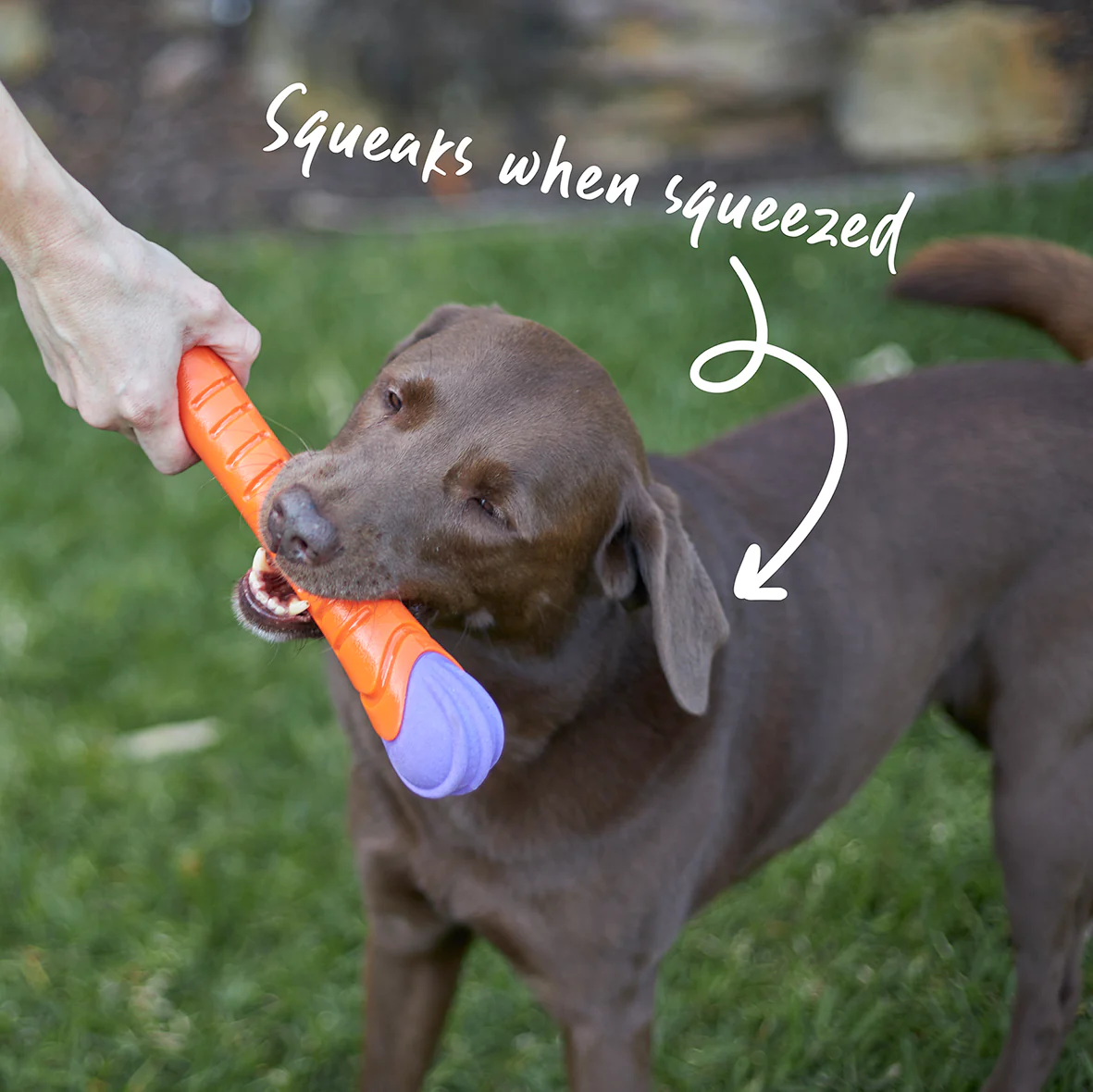 Extreme Play Dog Chew Stick - Large - Image 6