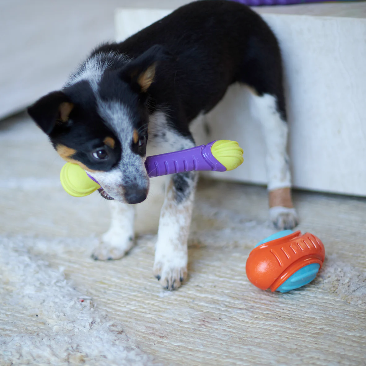 Extreme Play Dog Chew Stick - Medium - Image 8