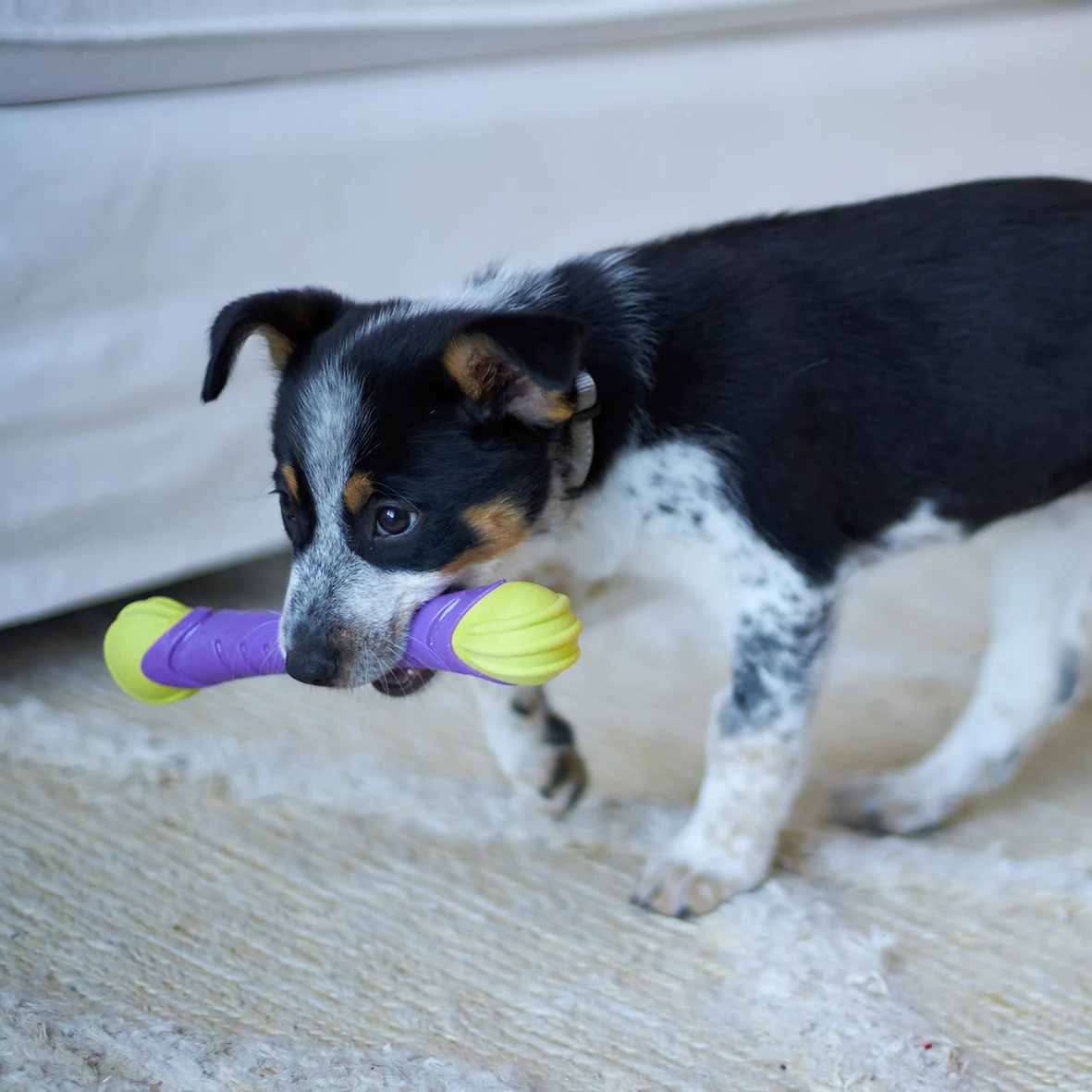 Extreme Play Dog Chew Stick - Medium - Image 9