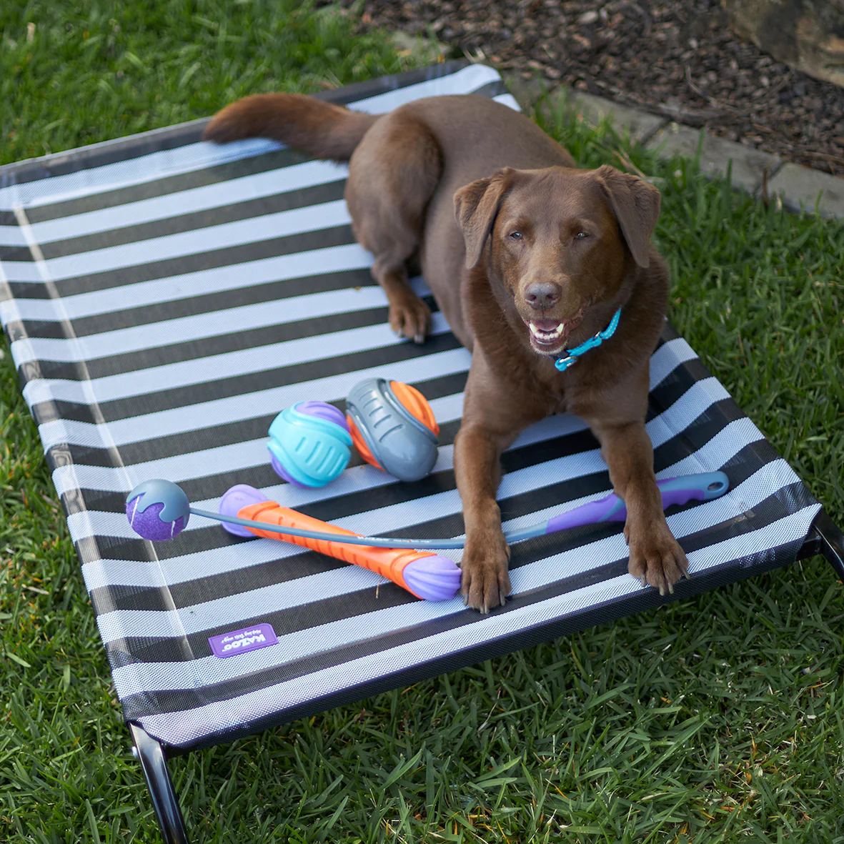 Extreme Play Dog Duraball - Large - Image 2