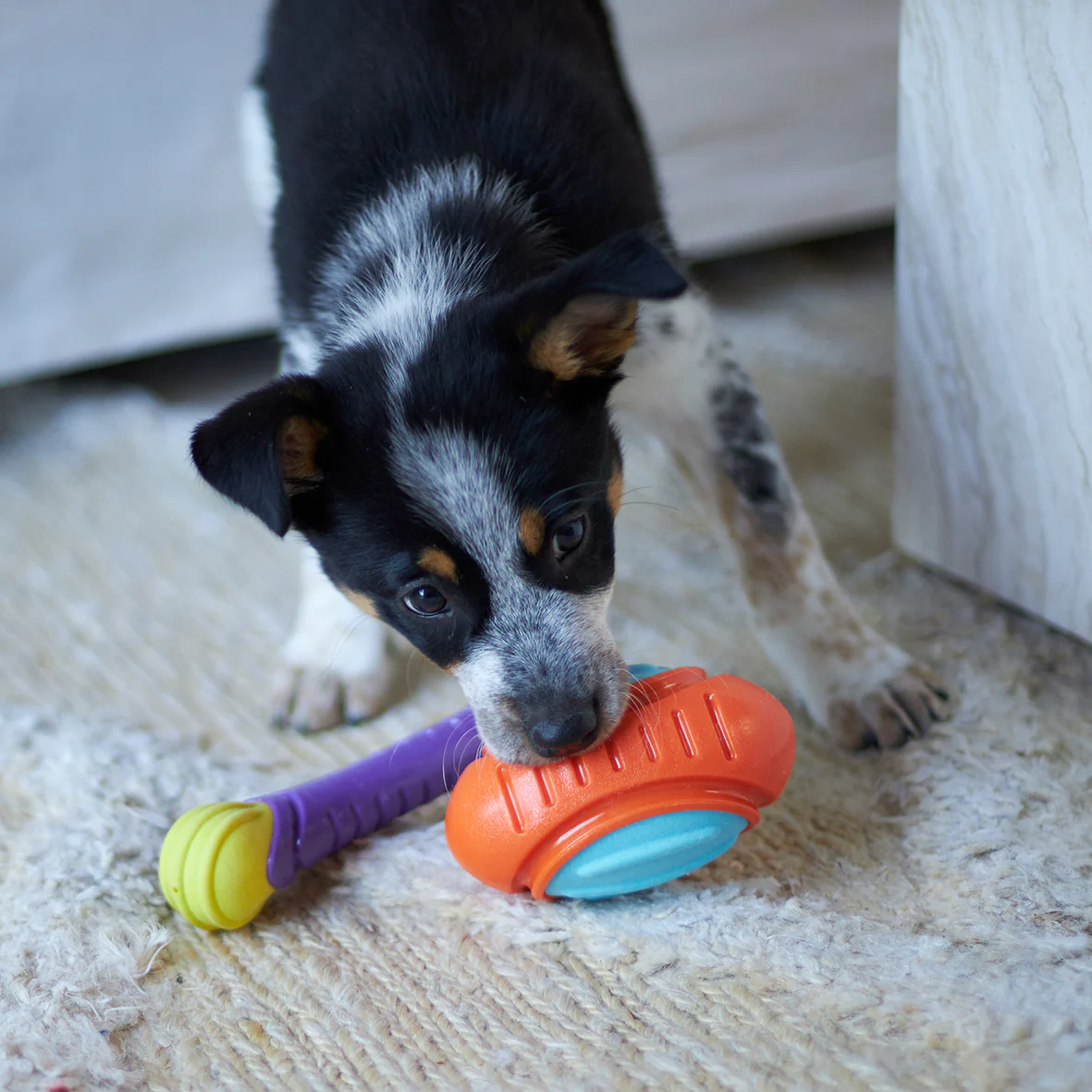 Extreme Play Dog Tough Footy Ball - Medium - Image 5