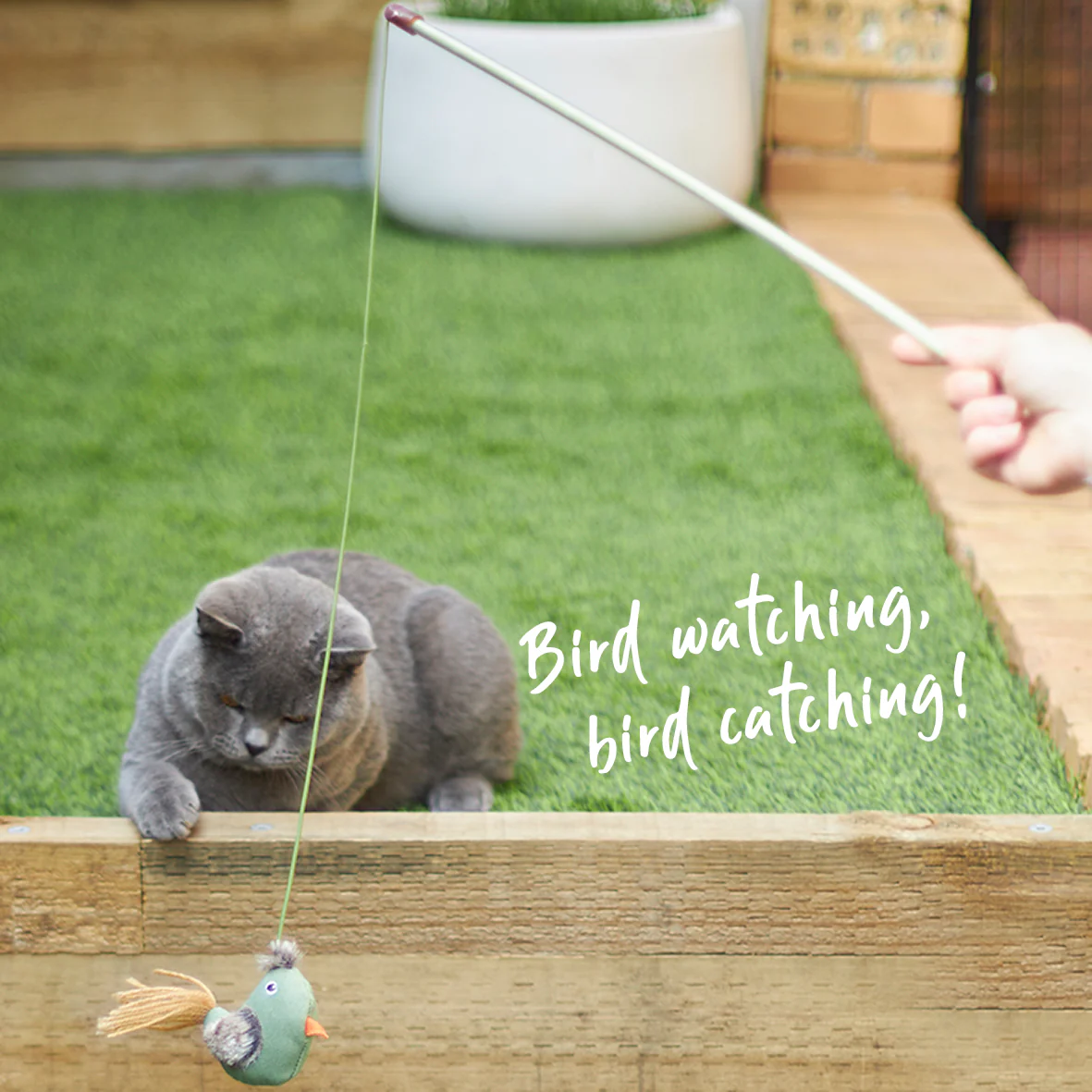 Eco-Friendly Fantail Bird Wand with catnip and recycled materials - Image 5