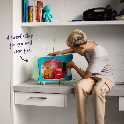 Fish Tank TV 15L - Candy Land - Image 5