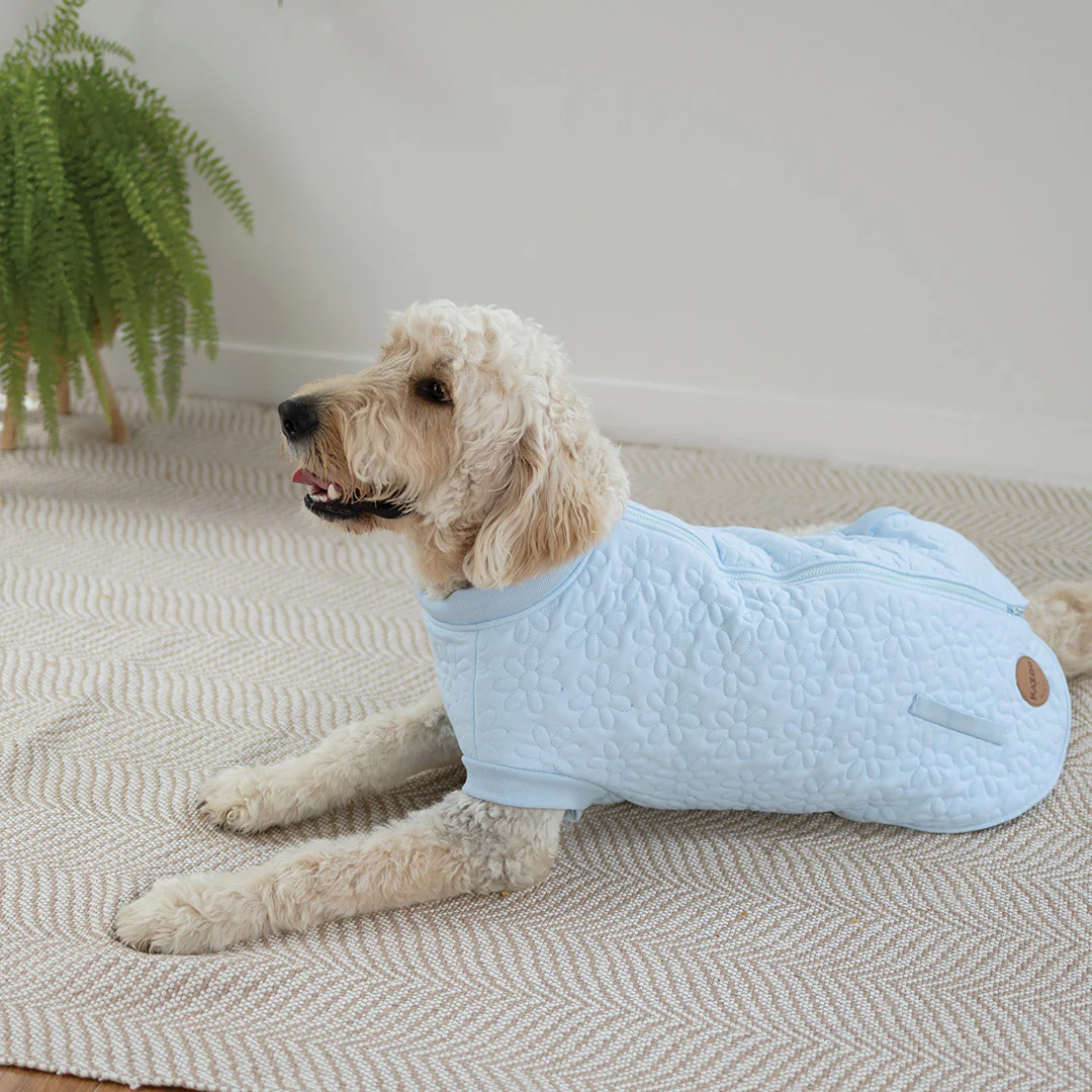 Flower Dog Jacket - Blue - Image 10
