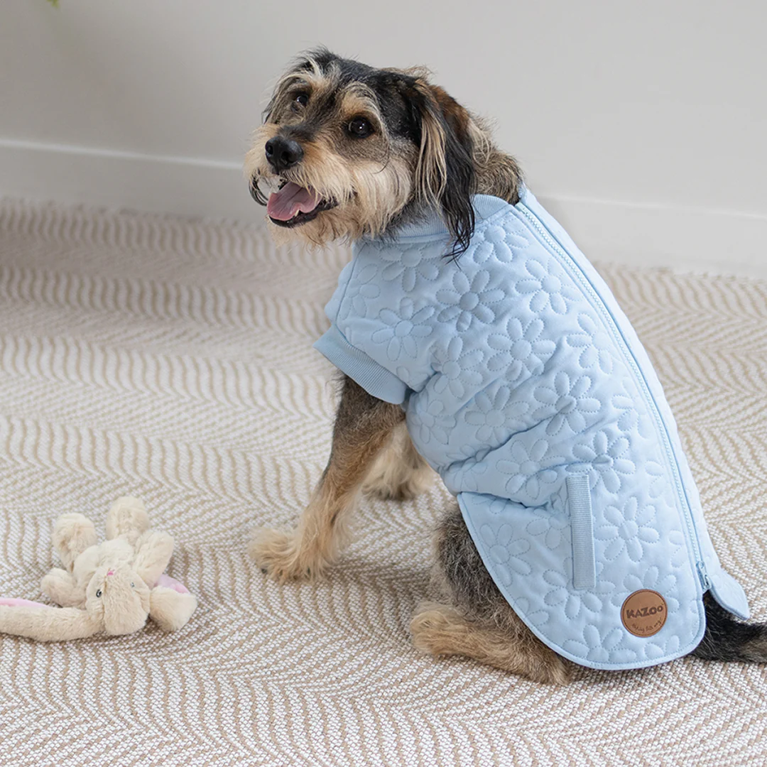 Flower Dog Jacket - Blue - Image 11