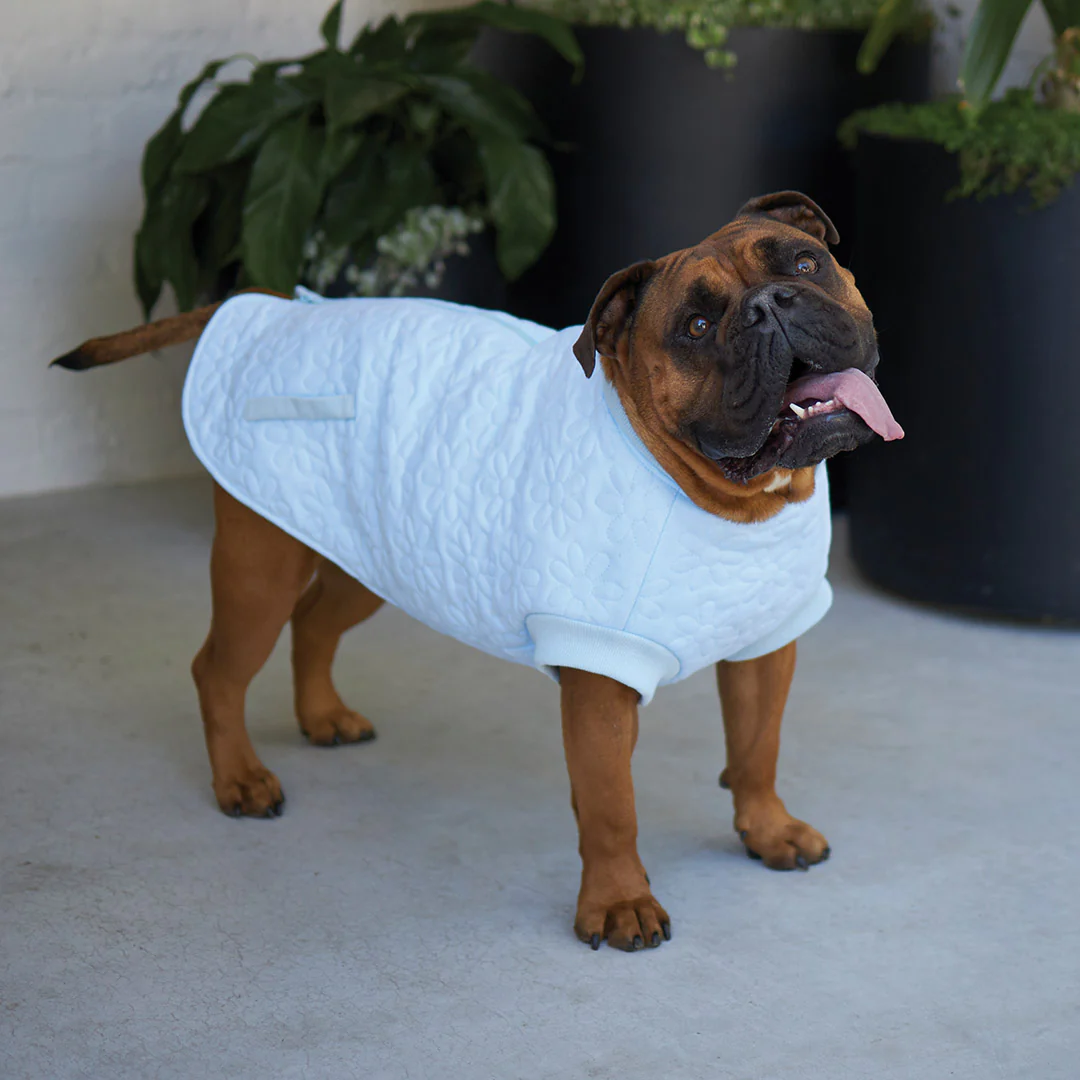 Flower Dog Jacket - Blue - Image 12