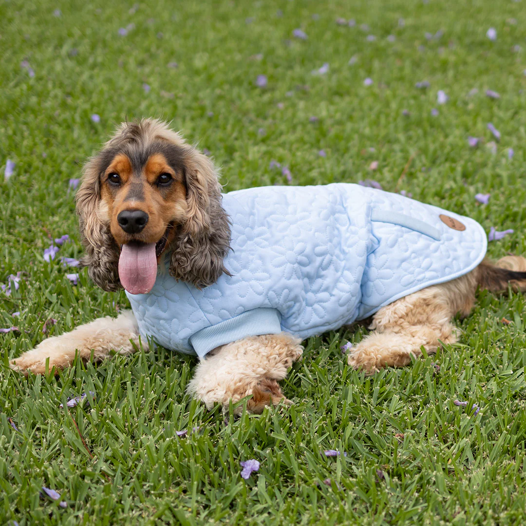 Flower Dog Jacket - Blue - Image 3