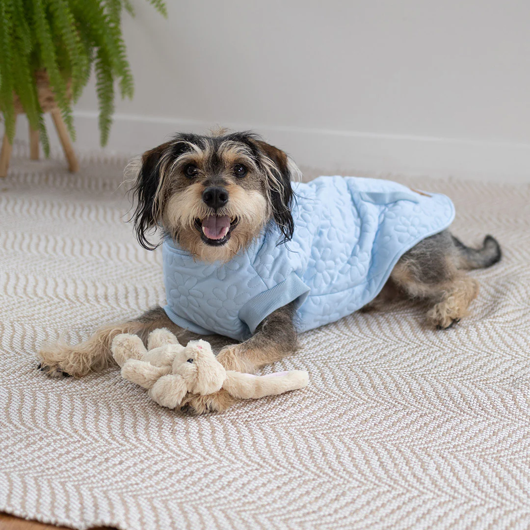 Flower Dog Jacket - Blue - Image 5