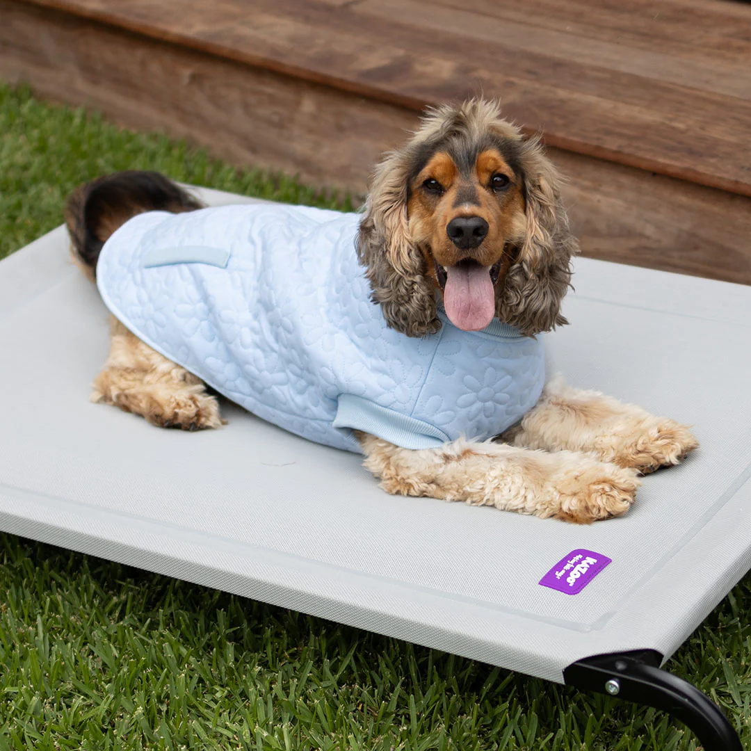 Flower Dog Jacket - Blue - Image 7